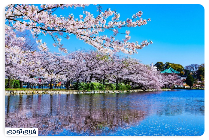 Spectacular places of Tokyo | City of Anime Technology and Cherry Blossom Park Ono