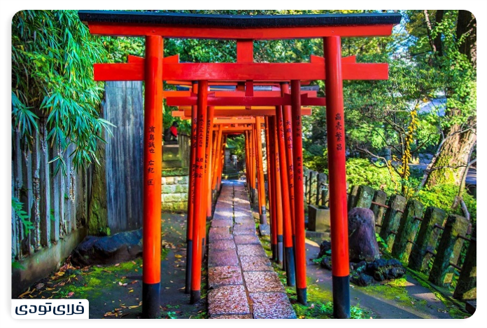 Spectacular places of Tokyo | City of Anime Technology and Cherry Blossom The tomb of Nizu