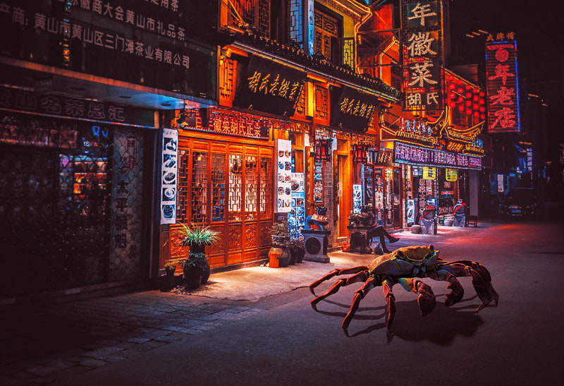 Spider on the street