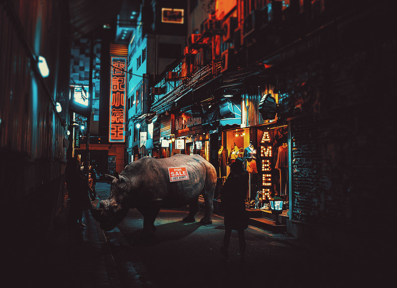 Huge rhino