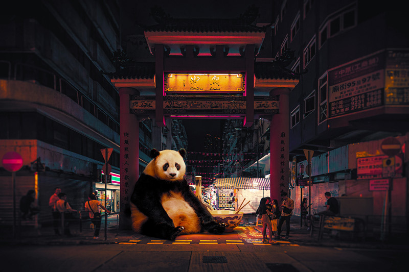 Tired panda in the corner of the street