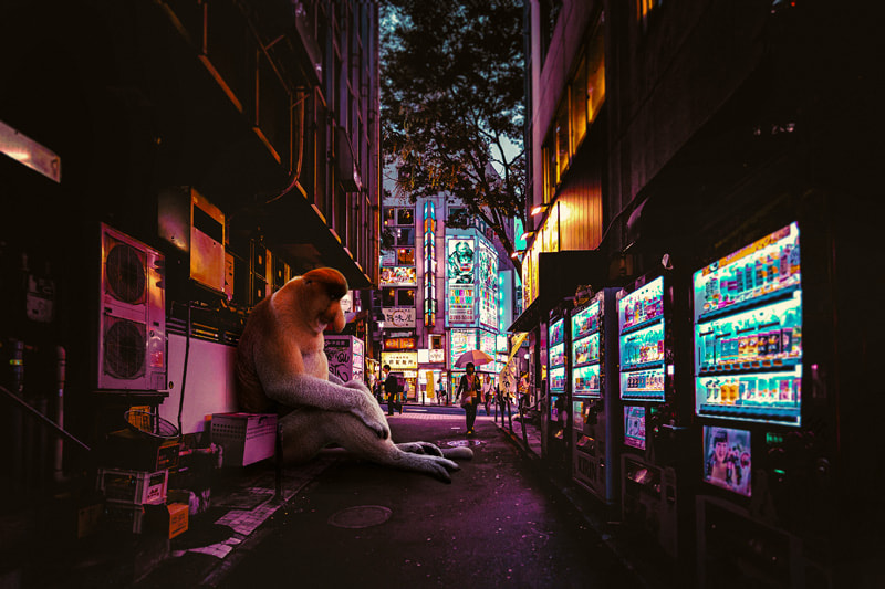 A monkey -corner of the street