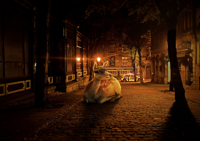 A deer with a blindfold in the middle of the alley