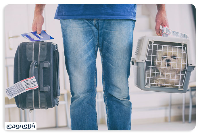 Tips and Terms of Pet Shipme by Aircraft PET IN PLANE POLICY 4