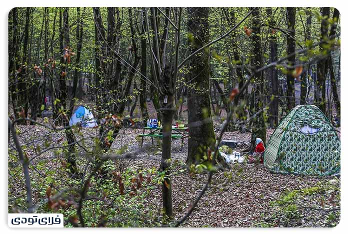 Gorgan's sights From the pristine forest to the works of the Safavid period Al -Nadra Forest