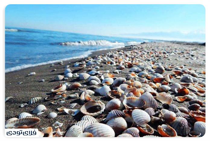 Naz Qeshm Island Where you can walk on the water! The best time to visit