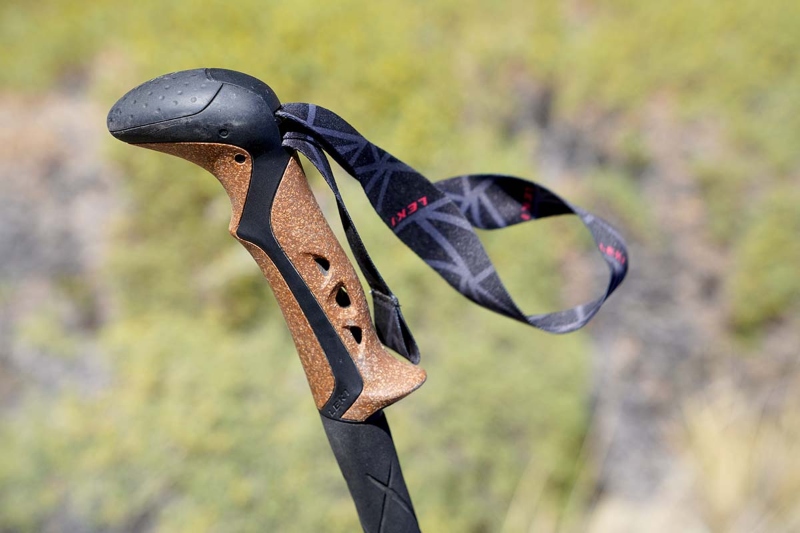 Argonomic Handle of Mouaineering cane; Photo Source: Switchbacktravel.com. Photographer: Unknown