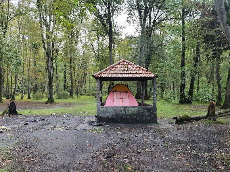 Camping in Noor Forest Park. Source: Google Map; Photographer: Dr. Dabirchiloo