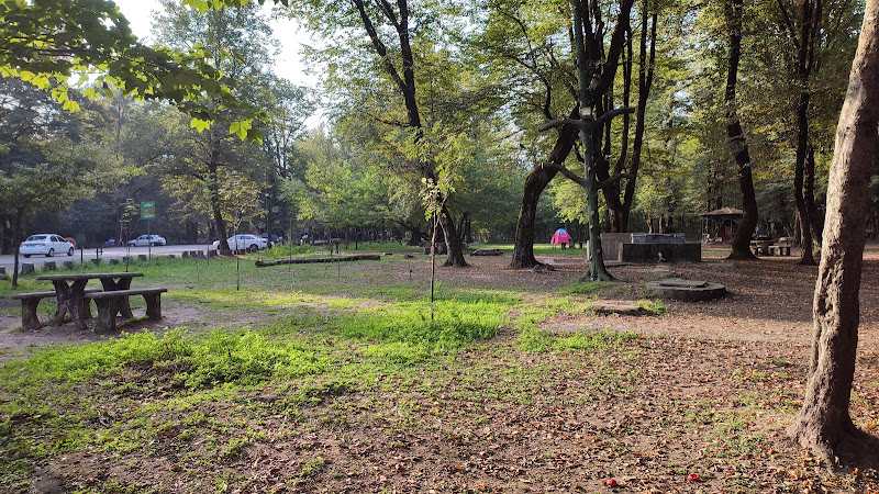 Camping in Sisangan Forest Park. Source: Google Map; Photographer: Muhammad Zareiy