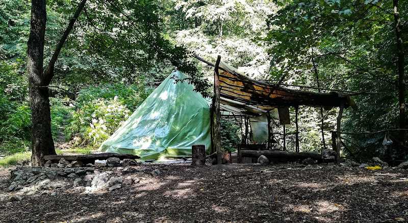 Camping in the Dining Forest. Source: Google Map; Photographer: Junior Overland