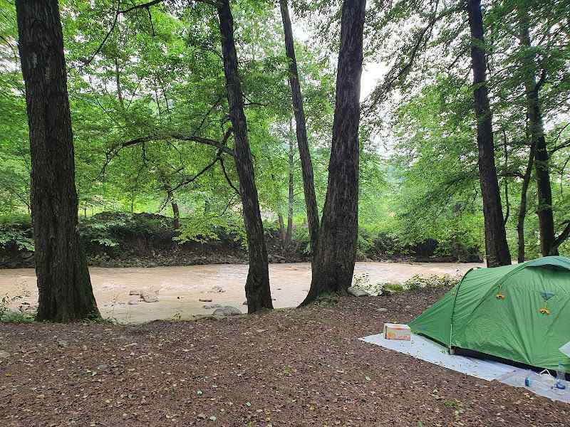 Camping in Finn Forest Park. Source: Google Map; Photographer: Ellimo