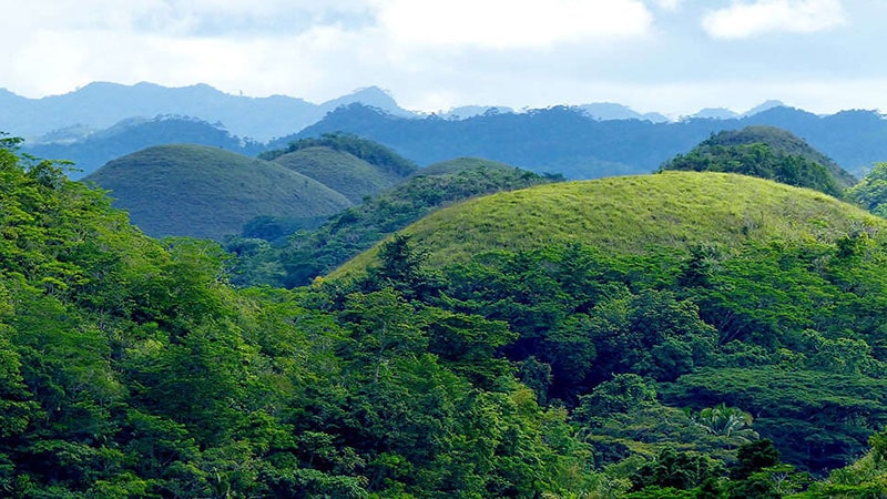 Unique vegetation of Philippine chocolate hills