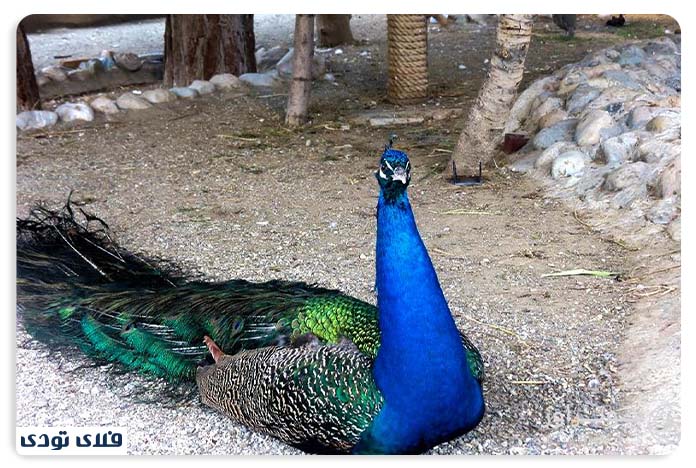 Eram Park Zoo