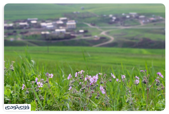Moghan plain eertainme