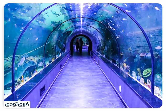 Micamal Kish Aquarium