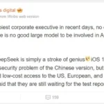 Report about the possibility of using Dip Sik by Apple
