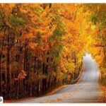 Gorgan's sights in the fall