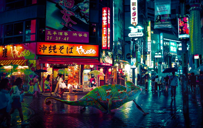 Gia salamander on the street