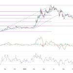 Ton Quinn's 2 % collapse and crisis in the Ton -Takfahan ecosystem