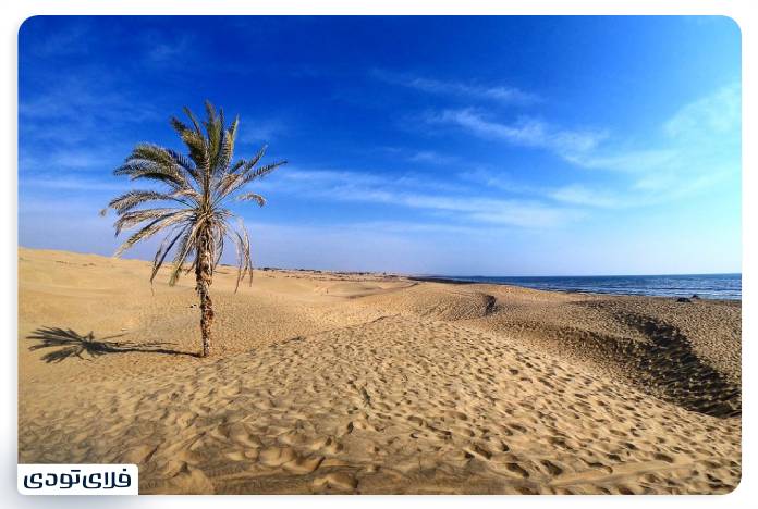 Travel to the Beach of Chabahar Desert and sea confluence Chabahar Beach