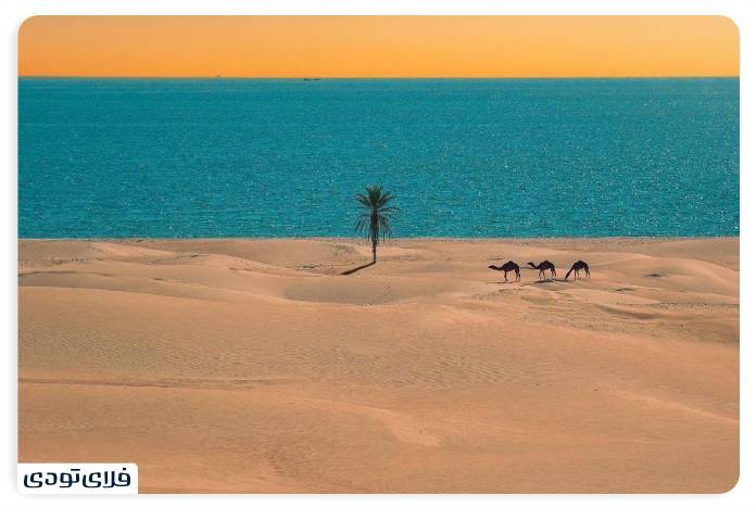 Travel to the Beach of Chabahar Desert and sea confluence Chabahar Beach