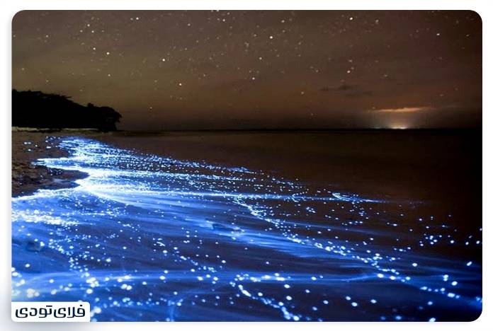 Travel to the Beach of Chabahar Desert and sea confluence Chabahar Beach