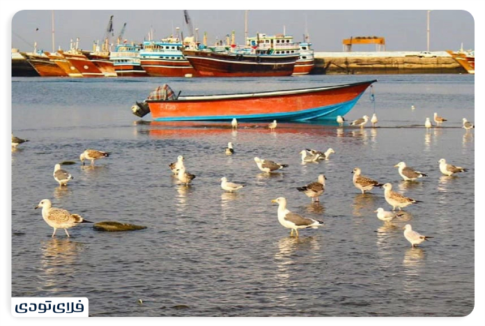 The importance of Makran coasts