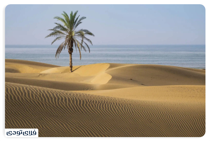 Chabahar Beach