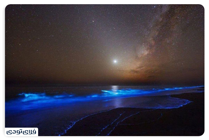 Night beach 