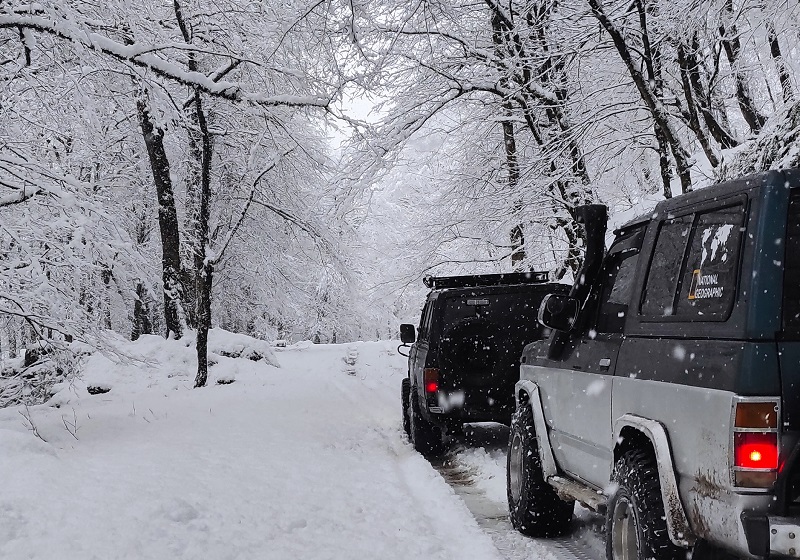 The forest of two thousand in wier snow; Photo Source: Googlemap; Photographer: Mehran Sabzeidani