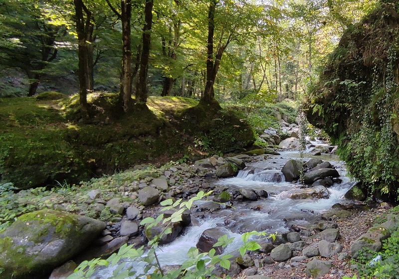 Nature of the village of Flakadeh Mazandaran; Photo Source: Googlemap; Photographer: Majid Sari
