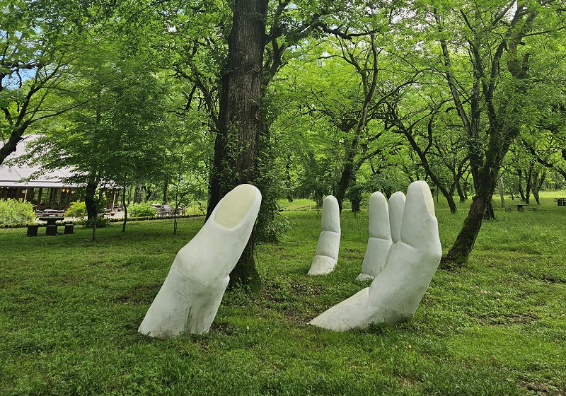 Chaldra Forest Park; Photo Source: Googlemap; Photographer: abbas mousavinejad