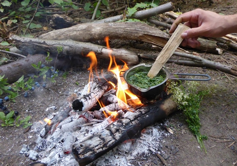 Demonous Fire with wild plas; Photo Source: Focusingonwildlife.com; Photographer: Unknown