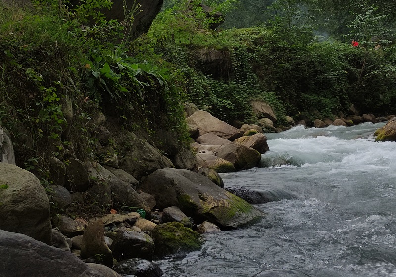 Forest rivers of two thousand; Photo Source: Googlemap; Photographer: Milad Vanaie