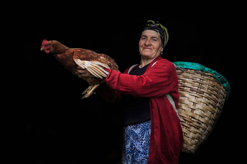 A chicken in the hands of the woman leave