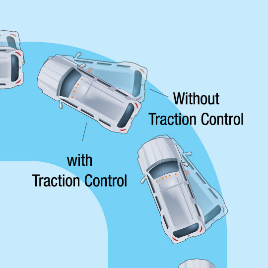 Stretching corol system
