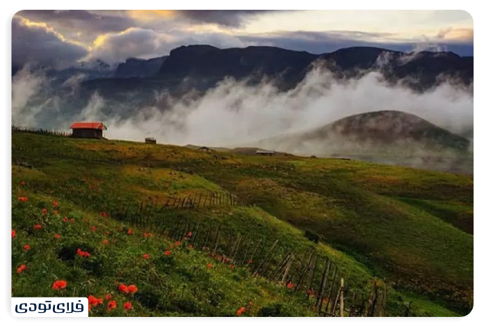 Swatan Talesh's eertainme