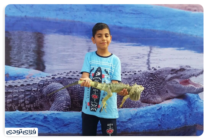 Iguana