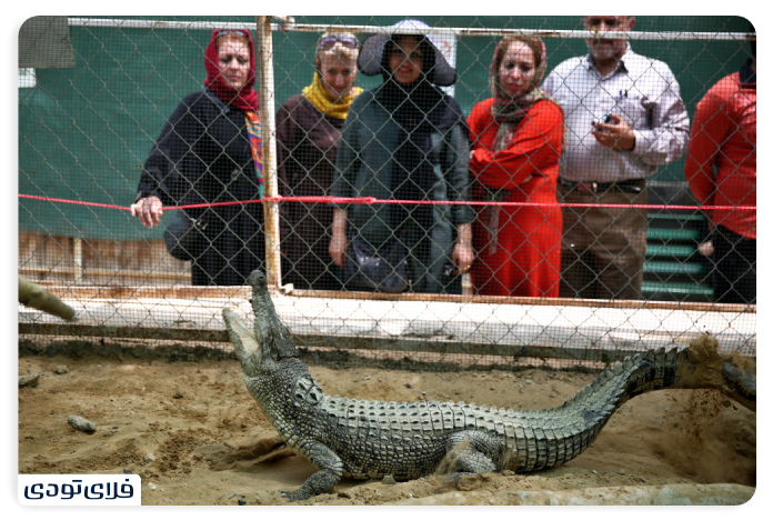 Crocodile Park rules when visiting