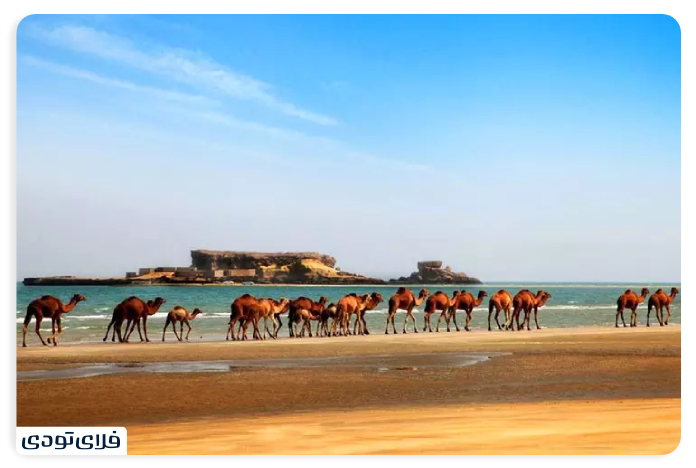 Cute Islands of Qeshm