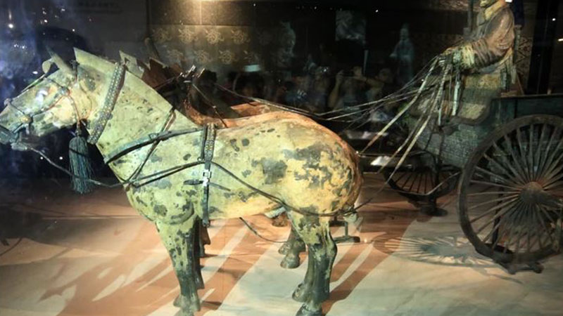 Visit the Halls of Exhibitions (Chariot and Bronze Horses)