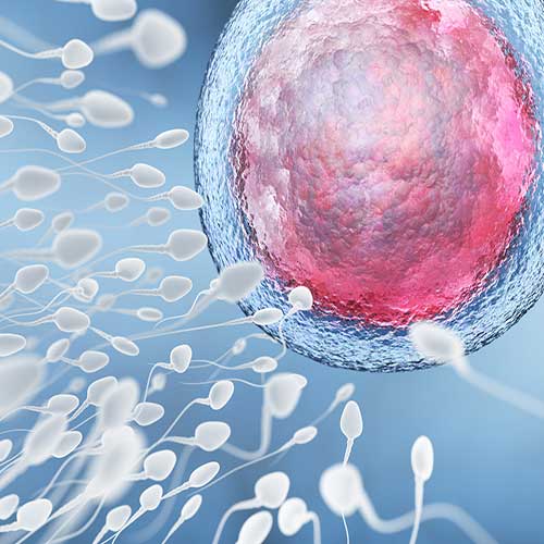 The strongest sperm boosting drug