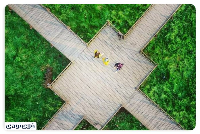 Wooden Bridge