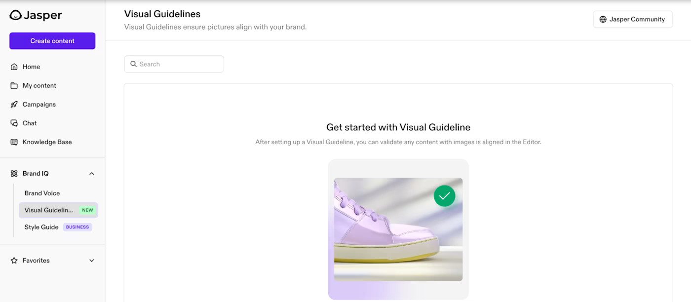 Visual Guidelines in Jasper's Artificial Ielligence