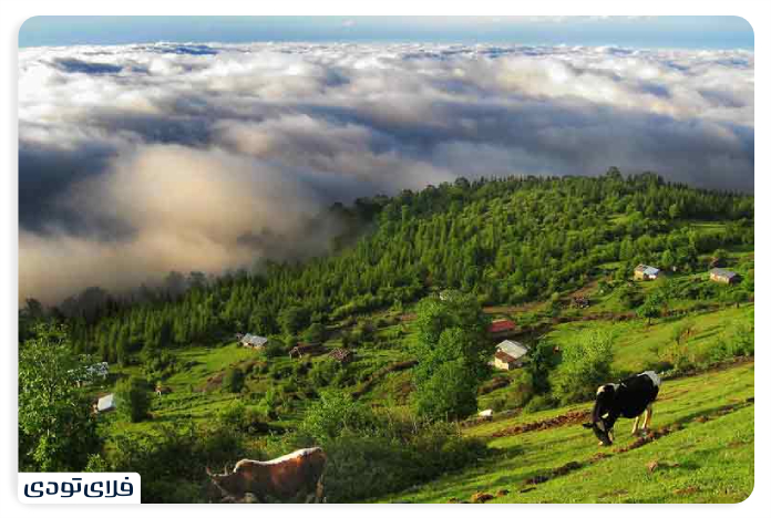 Sanar Village
