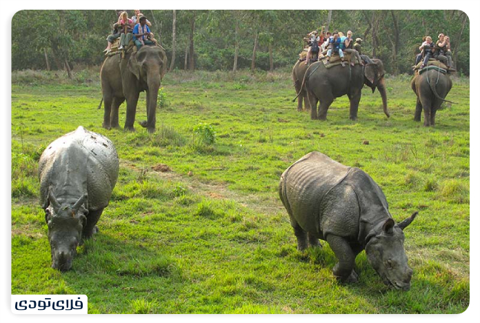 Travel Guide to Nepal The land of the Himalaya Mouains Chitan Nepal National Park
