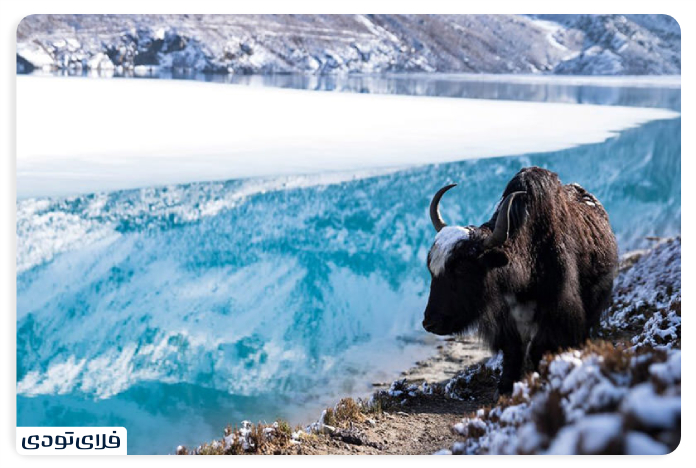 Travel Guide to Nepal The land of the Himalaya Mouains Lake Gukio