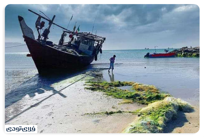 The population and ahropology of the port of late