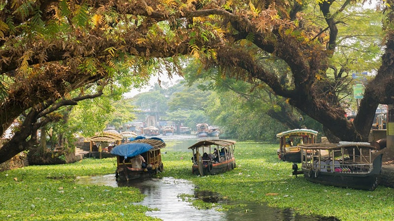 The best travel tips to visit Kerala