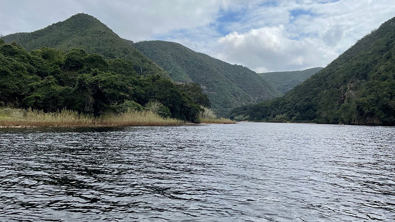 Adveure in the Kaimanz River (Keurbooms River)